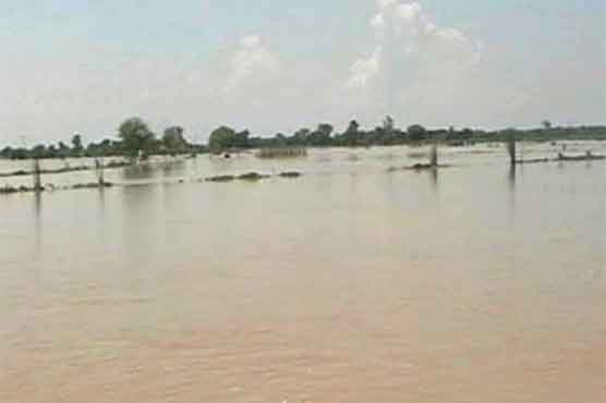 Flooding in Nullah Daik, Gastro outbreaks in Pasror 