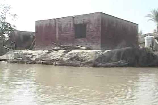 Torrential rains in KPK destroy houses, crops in Tank