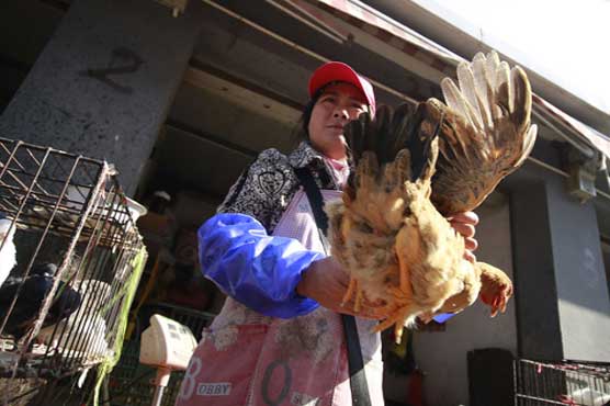 Evidence suggests new bird flu spread among people