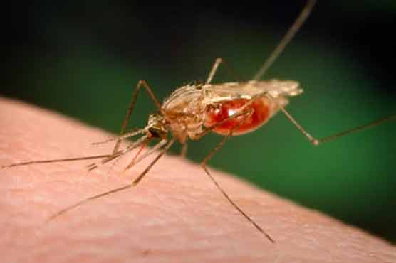 Malaria vaccine shows early promise in clinical trials 
