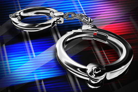 Man accused of beheading puppies arrested