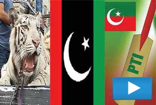 By-polls: PML-N on top, PTI's tsunami receded, PPP, ANP awakened