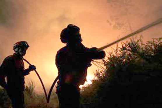 Portugal firefighters battle deadly wildfires