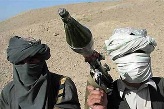 Pakistani Taliban split on talks offer 