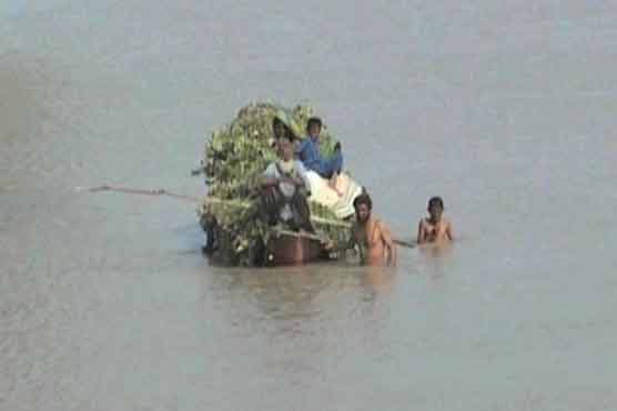 Chenab in high flood at Head Panjnad 