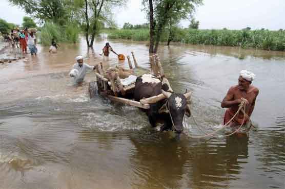 178 killed in floods: NDMA