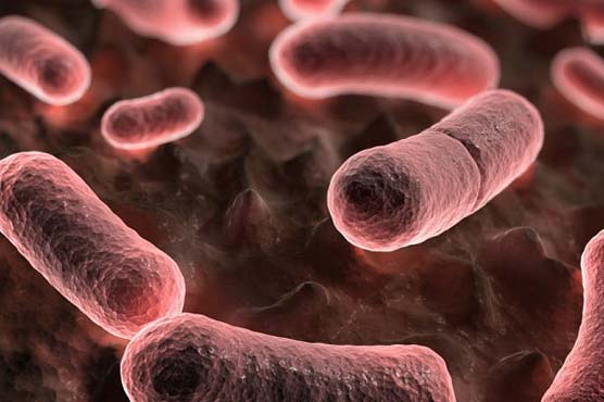 160 quarantined after plague death in Kyrgyzstan