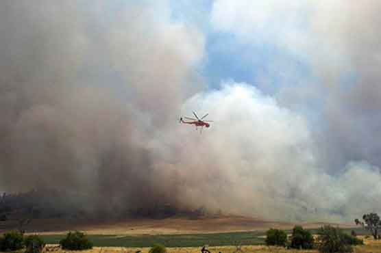 Portugal asks for 2 more planes to fight wildfires
