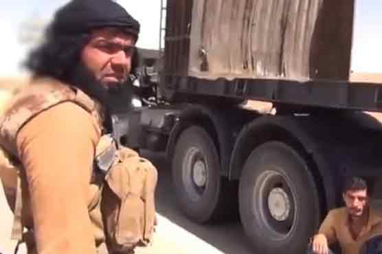 Al-Qaida in Iraq calls on Egyptians to fight army