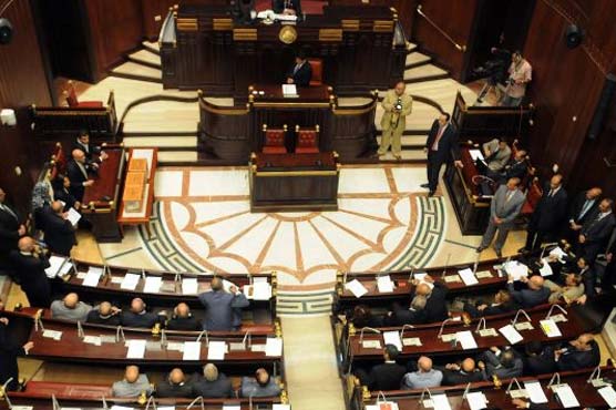Egypt panel begins voting on draft constitution
