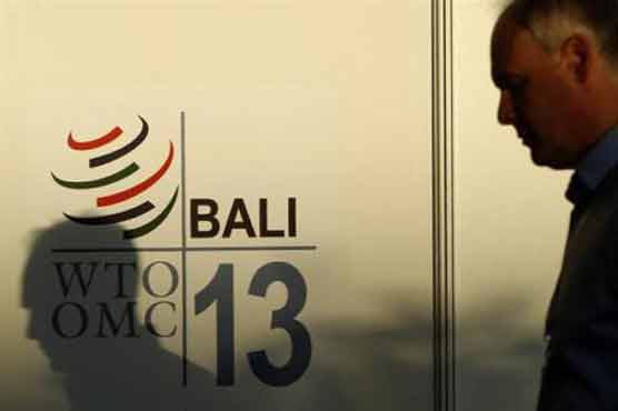 WTO's global role hangs in balance at Bali summit 