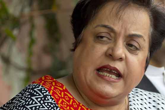 Mazari lashes out at govt over NADRA chairman's removal