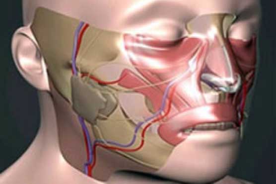 Face transplants showing signs of success