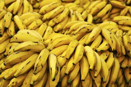 Cargo of bananas caught in New Jersey legal limbo