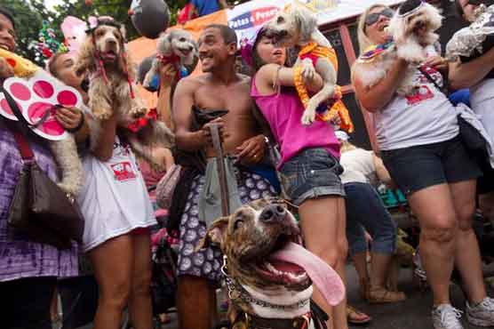 Rio Carnival goes to dogs at canine street party