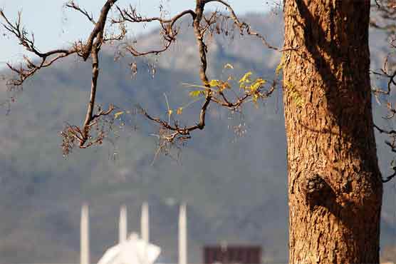 Met office predicts cold, dry weather