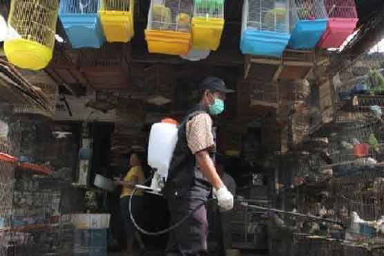 Bird flu claims fifth Cambodian victim this year