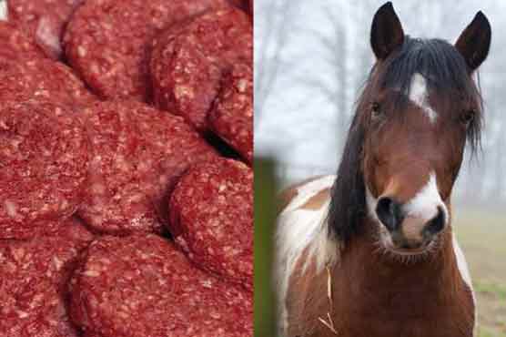 Horsemeat probe results due on Wednesday: France