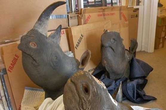 US man gets prison time, fine for rhino horn deal 