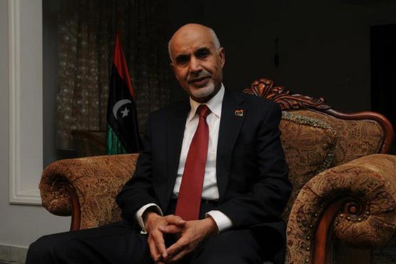 Libyan leader calls for unity on 2nd anniversary