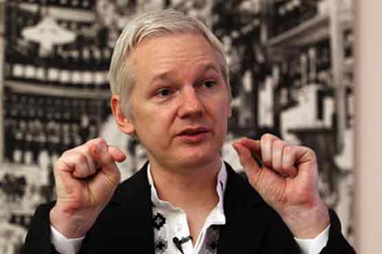 Assange sees senate seat as freedom ticket   