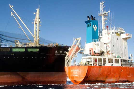 Sea Shepherd activists clash with Japanese whaler