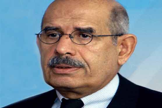 Egypt's ElBaradei calls for election boycott