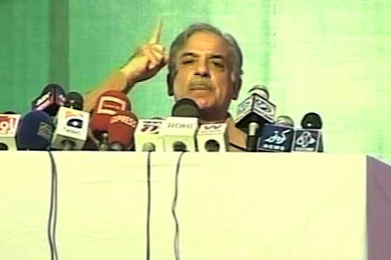 War to continue till dengue eradication, says Shahbaz