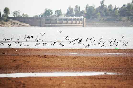 SC disposes of Rawal Dam Pollution Case
