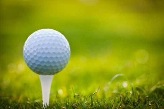 Golf: Maiden Tshwane Open draws Major champions