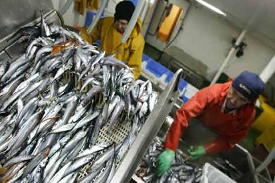 EU minters reach deal over discarded fish 
