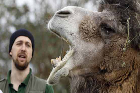 Zoo census begins in UK 