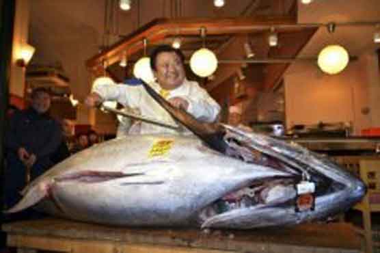 Giant tuna sells for record $1.8 million in Japan