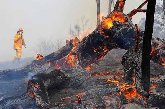 Thousands flee wildfires in Australia