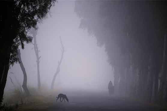 Foggy conditions to prevail till Monday: Met office