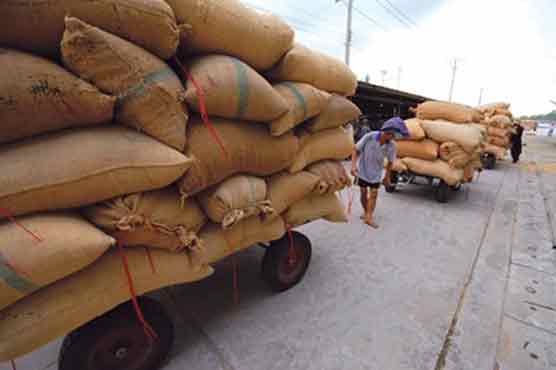 India's rice exporte in 2013 may reduce: experts