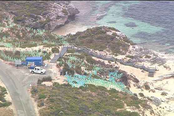 Young girl finds human head on beach