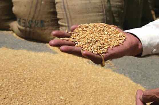 Pakistan to export 100,000 tonnes wheat to Iran