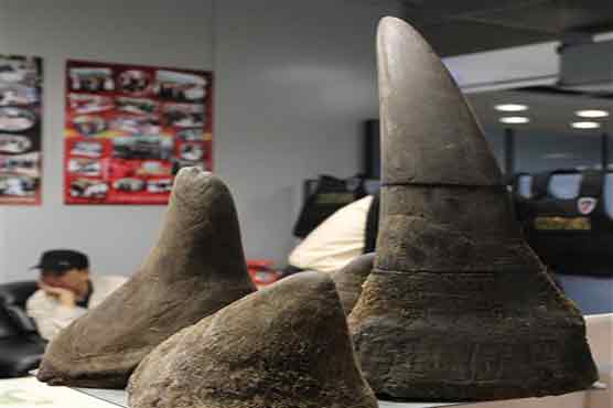  Man held with 6 rhino horns at Bangkok airport 