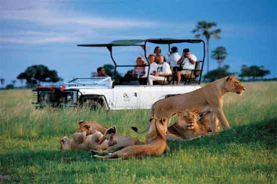 Germany warns Zimbabwe over safari ranches control 