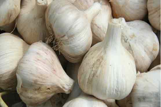 Sweden seeks two Britons for smuggling garlic
