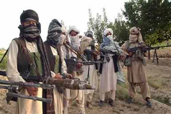 Talks with Taliban: ANP contacts political parties