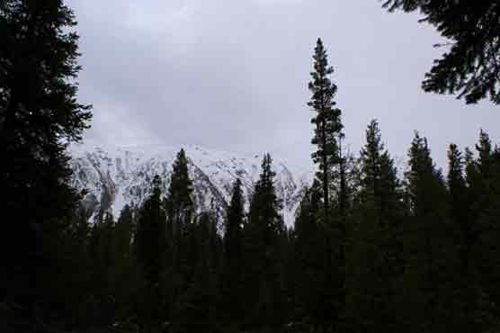 Cold, dry weather likely to prevail in most parts