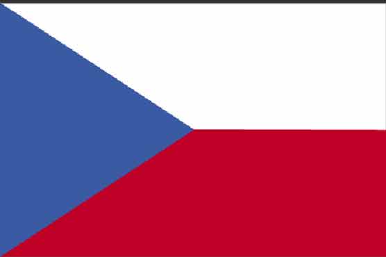 Czechs vote for president