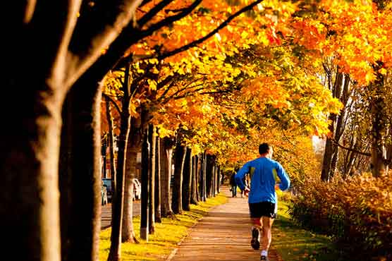 Regular exercise keeps arteries healthy