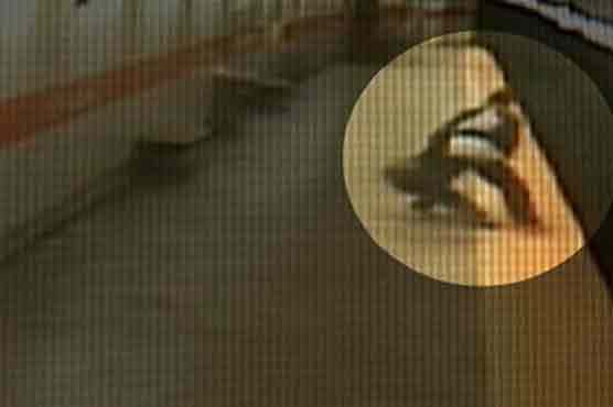 Man who dragged woman onto subway tracks arrested