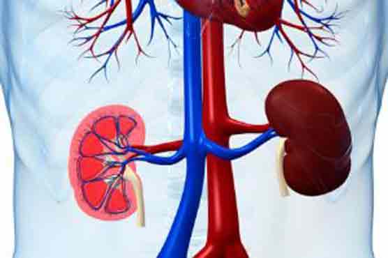 Irregular heartbeat increases risks of kidney failure