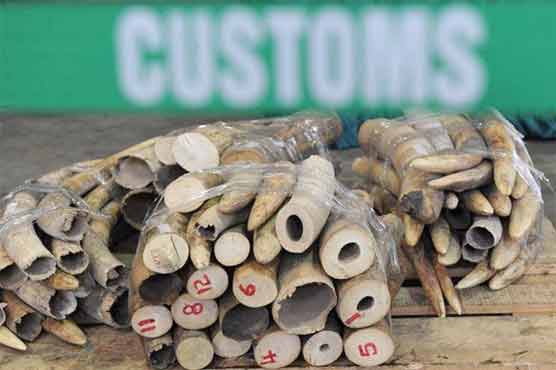 1.8 tonnes of ivory seized by security men