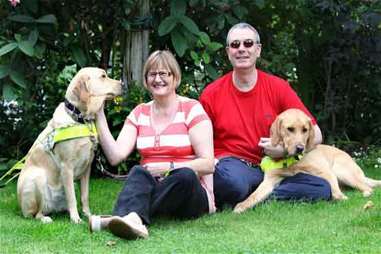 Blind couple wed after guide dogs find love