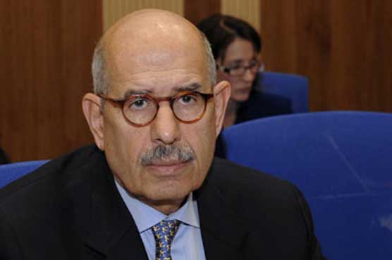 ElBaradei named PM to lead Egypt out of bloody crisis
